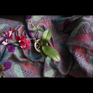 Multi colored Pashmina